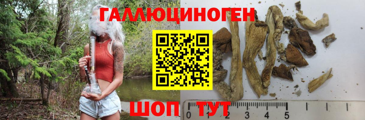 Тайшет  Галлюциногенные грибы ЛСД  Вход с VPN 