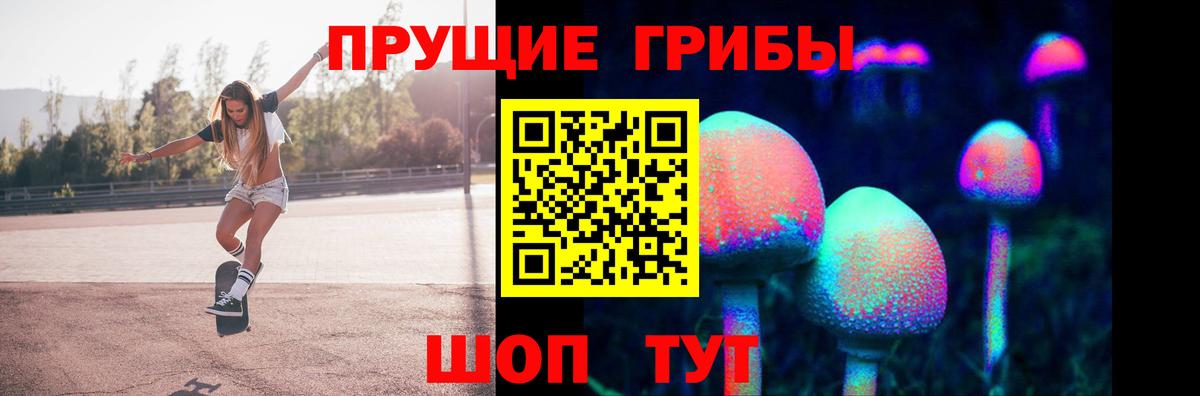 Галлюциногенные грибы Psilocybine cubensis Тайшет